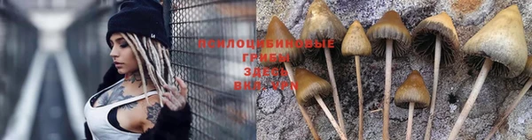 индика Алексеевка