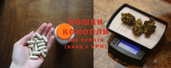 прущие грибы Пестово
