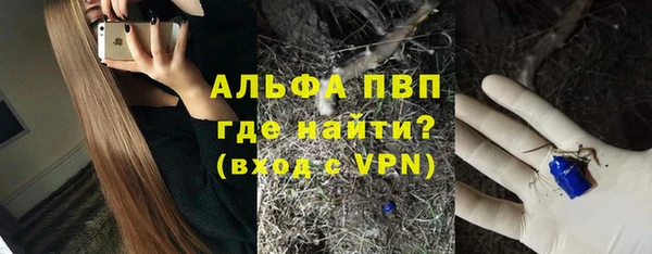 индика Алексеевка