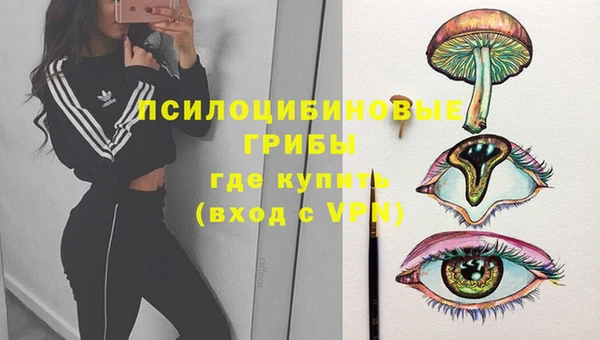 индика Алексеевка